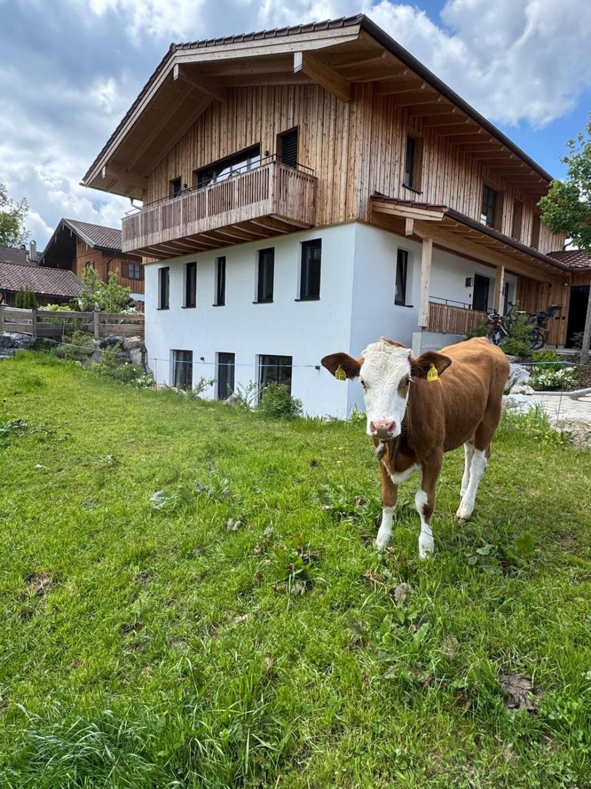 Ferienwohnung Gschwendt Miesbach Εξωτερικό φωτογραφία
